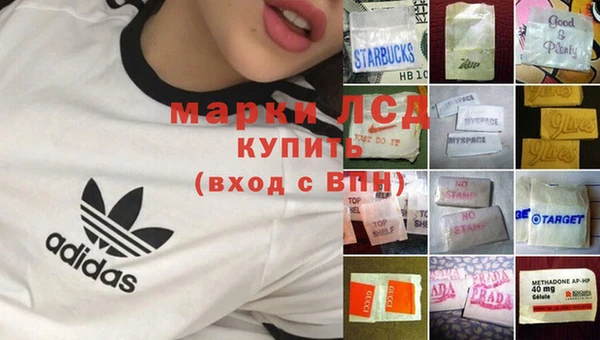 прущие грибы Баксан