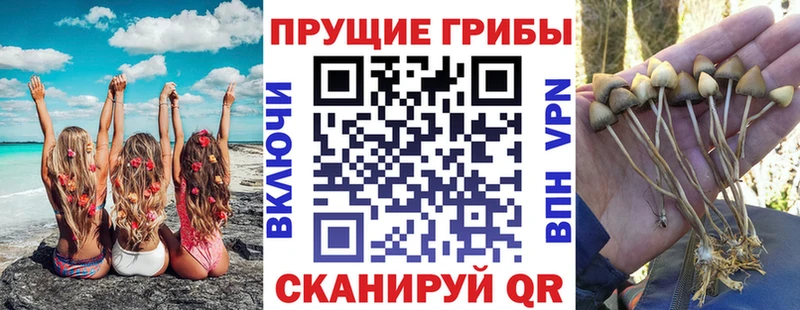 Псилоцибиновые грибы Cubensis  где купить   Нижние Серги 